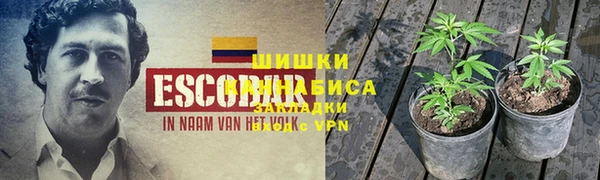 меф Кинешма