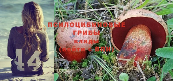 меф Кинешма